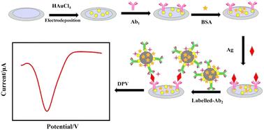 A sandwich electrochemical immunosensor based on polypyrrole microspheres for the detection of the cancer marker CA125†