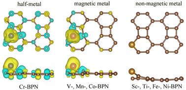 Effects of transition metal substitution doping on the structure and magnetic properties of biphenylene†