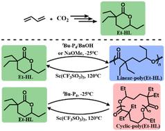 Ring-opening polymerization of a tri-substituted six-membered lactone derived from CO2/butadiene†