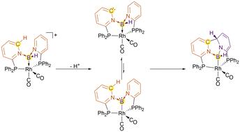Evidence of boride–borylene ligand-tautomerism leading to a remote C–C-bond and concomitant boryl ligand formation†