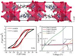 A bulk photovoltaic effect in a zero-dimensional room-temperature molecular ferroelectric [C8N2H22]1.5[Bi2I9]†