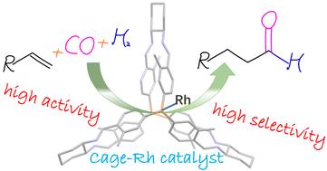 Modular synthesis of triphenylphosphine-derived cage ligands for rhodium-catalyzed hydroformylation applications†