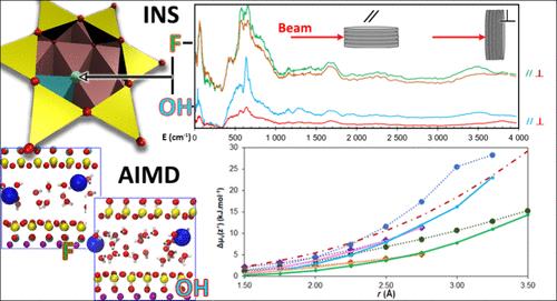 Molecular Hydrophobicity Signature in Charged Bidimensional Clay Materials