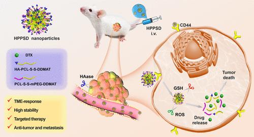 Tumor Microenvironment-Responsive Ternary Nanosystem for Enhanced Antitumor and Antimetastasis Efficacy Against Breast Cancer