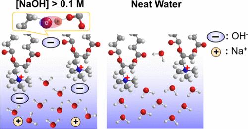 Charge Inversion by Monovalent Hydroxide Ions