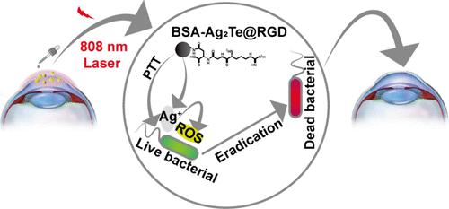 Light-Activated Silver Ion Release from Ag2Te Nanoparticles for Treating Drug-Resistant Bacterial Keratitis