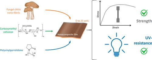 Fungal Chitin Nanofibrils Improve Mechanical Performance and UV-Light Resistance in Carboxymethylcellulose and Polyvinylpyrrolidone Films