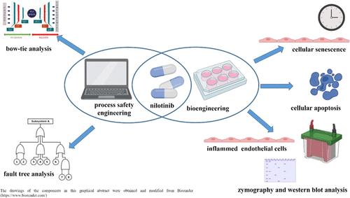 Engineering for Biomedical Sector: A Cross-Industry Approach for the Analysis of Molecular Patterns behind Endothelial Damage Related to Leukemia Therapy