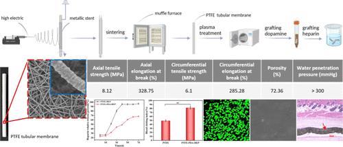 PTFE Stent Membrane Based on the Electrospinning Technique and Its Potential for Replacing ePTFE