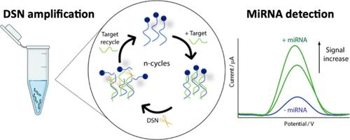 Enzyme-Assisted Electrochemical Point-of-Care Test for miRNA Detection in Liquid Biopsy