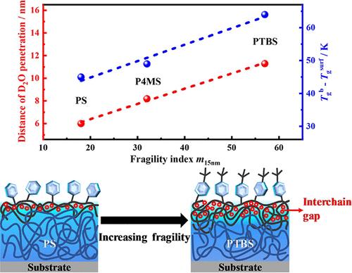 Origin of the Free Surface Effect of Polymers with Different Sizes of Side Groups
