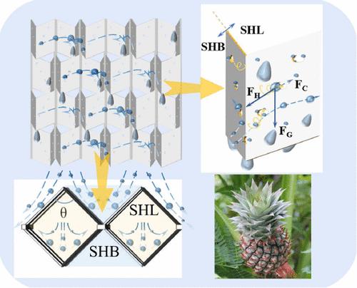 ZnO Nanoneedle-Based Origami Water-Collecting Surfaces with Bidirectional Janus Effects