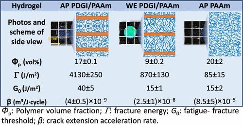 Fatigue Behaviors of Anisotropic Hydrogels with a Macroscopic Lamellar Bilayer Structure and Swelling Effects