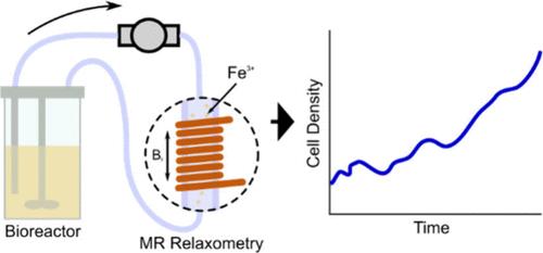 Contact-Free Online Monitoring of Bioreactor Cell Cultures with Magnetic Resonance Relaxometry