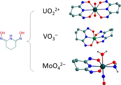 Glutarimidedioxime: A Complexing, Reductive, and Nitrosyl Reagent for Molybdenum