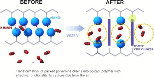 Porous Polyvinylamine Adsorbents with Low Temperature Regenerability for Direct Air Capture