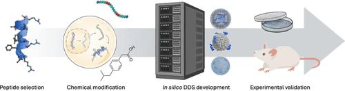 Computational Approaches for Antimicrobial Peptide Delivery