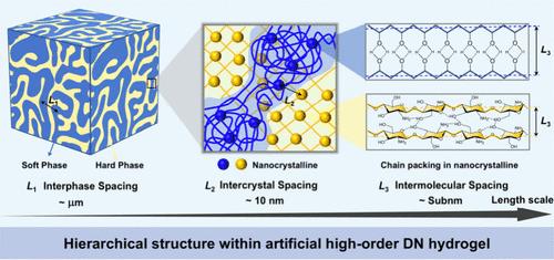 A High-Order Double Network Hydrogel