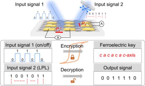 Electrically Switchable Bipolar Polarization-Sensitive Photodetection Based on a Biaxial Ferroelectric Semiconductor