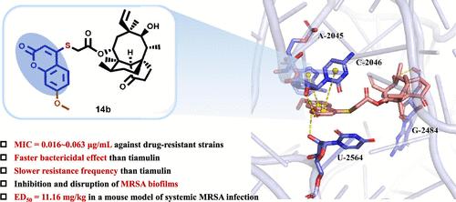 Discovery of Novel Coumarin Pleuromutilin Derivatives as Potent Anti-MRSA Agents