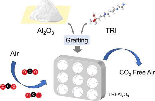 Feasibility and Effectivity of an Amine-Grafted Alumina Adsorbent for Direct Air Capture