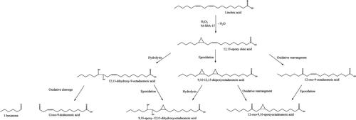 Tall Oil Epoxidation in the Presence of Non-Noble Metal Oxide-Modified Heterogeneous Catalysts