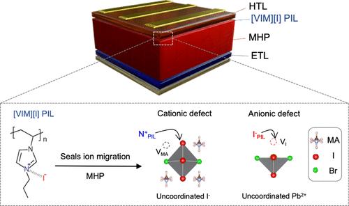 Ionic Lockdown: Sealing Migration Channels across Device Interfaces in Mixed Halide Perovskite Solar Cells