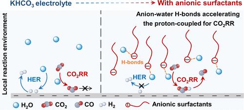 Anionic Surfactant-Tuned Interfacial Water Reactivity Promoting Electrocatalytic CO2 Reduction