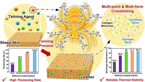 A Spider-like Polyphenol–Metal Dendrimer Chrome-Free Tanning Agent for Sustainable Leather Manufacturing