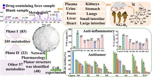 Existing Forms of Notoginsenoside R1 in Rats and Their Potential Bioactivities