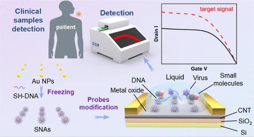 Spherical Nucleic Acid Probes on Floating-Gate Field-Effect Transistor Biosensors for Attomolar-Level Analyte Detection