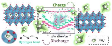 Tailoring electronic structure to enhance the ammonium-ion storage properties of VO2 by molybdenum doping toward highly efficient aqueous ammonium-ion batteries†