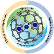 Spin probe for dynamics of the internal cluster in endohedral metallofullerenes