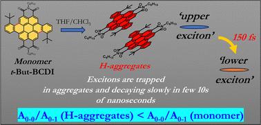 Unveiling emissive H-aggregates of benzocoronenediimide, their photophysics and ultrafast exciton dynamics†