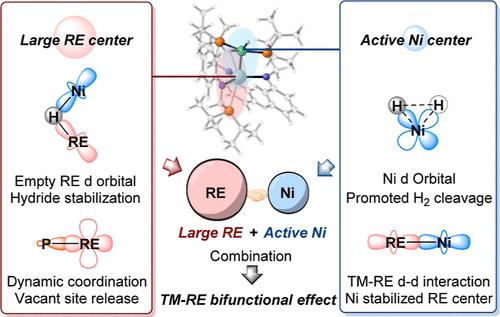 Insight into Roles of Rare-Earth Metals in Heterobimetallic Ni–Y Bifunctional Catalysis for Alkyne Semihydrogenation
