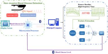 A noninvasive blood glucose detection method with strong time adaptability based on fuzzy operator decision fusion and dynamic spectroscopy characteristics of PPG signals