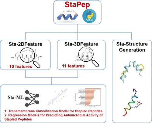 StaPep: An Open-Source Toolkit for Structure Prediction, Feature Extraction, and Rational Design of Hydrocarbon-Stapled Peptides