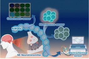 Instant synthesis of nitrogen-doped Ti3C2 MXene quantum dots for fluorescence and electrochemical dual-mode detection of norepinephrine with a portable smartphone assay†