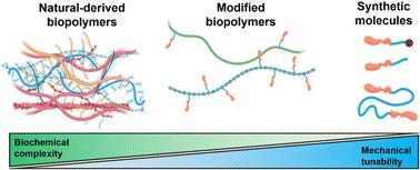 From natural to synthetic hydrogels: how much biochemical complexity is required for mechanotransduction?†