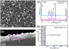 High-performance solar-blind imaging photodetectors based on micrometer-thick β-Ga2O3 films grown by thermal oxidation of gallium†