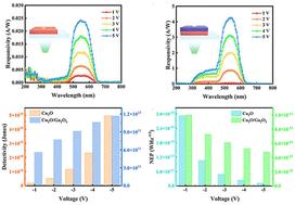 Cu2O/Ga2O3 pn-junction photodetector with low dark current and high detectivity