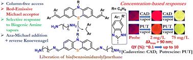 Tetra-benzimidazoles flanking divinyl-phenothiazine: AIEgens as aza-Michael acceptors in concentration-tuned responses to biogenic amine vapors†