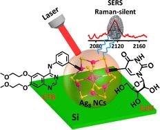 Facile in situ synthesis of silver nanoclusters for promoting highly sensitive surface-enhanced Raman scattering detection of alkyne-tagged biomolecules†