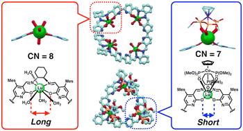 Synthesis of macrocyclic salen rare-earth complexes and their framework conversion regulated by coordination sphere engineering†