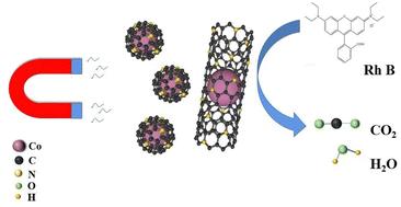 N-doped carbon nanotubes encapsulating Co materials with strong magnetic properties generate ˙O2− through activation of hydrogen peroxide to effectively degrade rhodamine B†