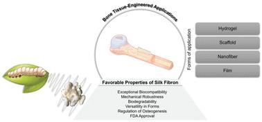 Silk fibroin as a potential candidate for bone tissue engineering applications