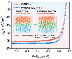 Dissolution swelling effect-assisted interfacial morphology refinement enables high efficiency all-polymer solar cells†