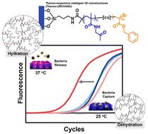 Thermo-responsive 3D nanostructures for enhanced performance in food-poisoning bacterial analysis†