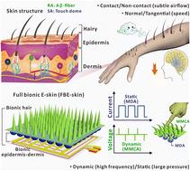 Top-down architecture of magnetized micro-cilia and conductive micro-domes as fully bionic electronic skin for de-coupled multidimensional tactile perception†
