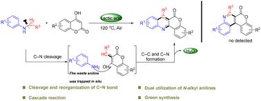 A substrate-induced dual utilization cascade reaction of N-alkyl anilines: highly site-selective sustainable synthesis of chromeno[4,3-b]quinolin-6-ones†
